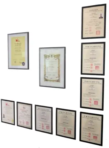 Premi, diplomi e riconoscimenti