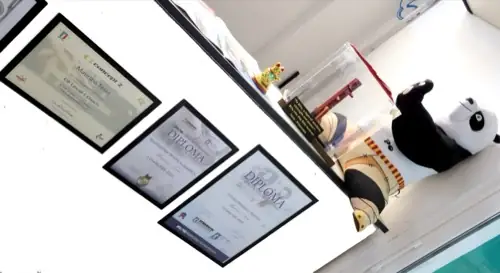 Premi, diplomi e riconoscimenti